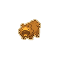 Gold Bidoof